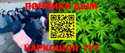 крисы Моздок